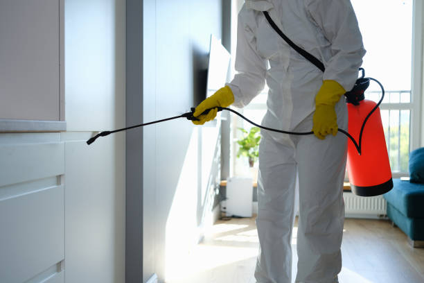 Best Biohazard Mold Removal  in Shorewood, IL